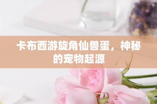 卡布西游旋角仙兽蛋图片