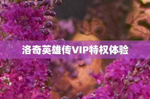 洛奇英雄传VIP特权体验图片