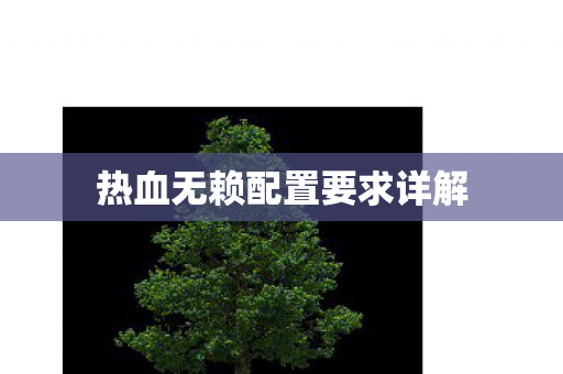 热血无赖配置要求详解图片