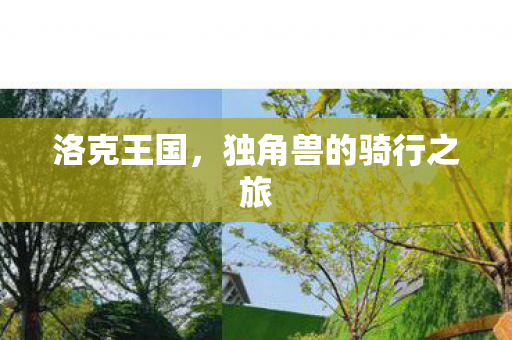 独角兽的骑行之旅图片