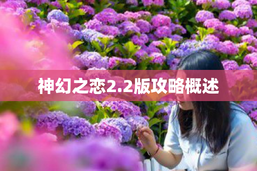 2版攻略概述图片
