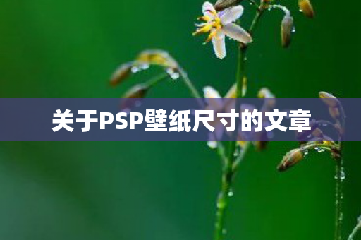 关于PSP壁纸尺寸的文章图片