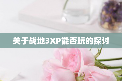 关于战地3XP能否玩的探讨图片