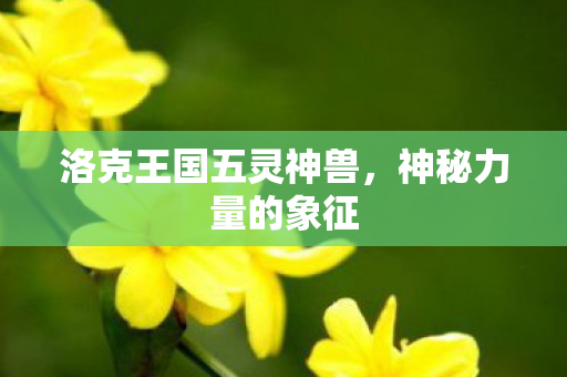 洛克王国五灵神兽图片