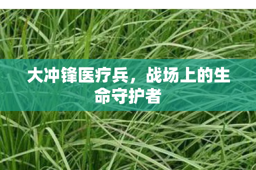 战场上的生命守护者图片