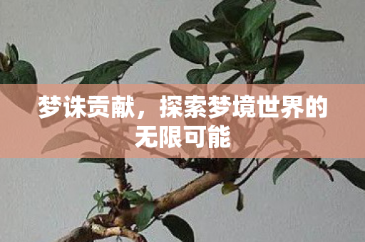 探索梦境世界的无限可能图片