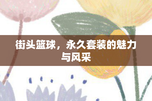 永久套装的魅力与风采图片