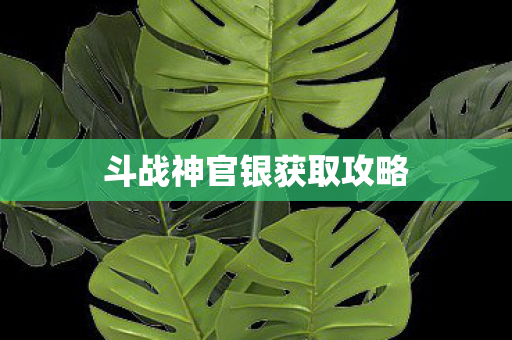 斗战神官银获取攻略图片