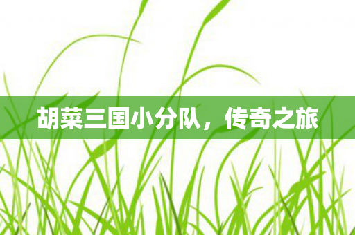 胡菜三国小分队图片