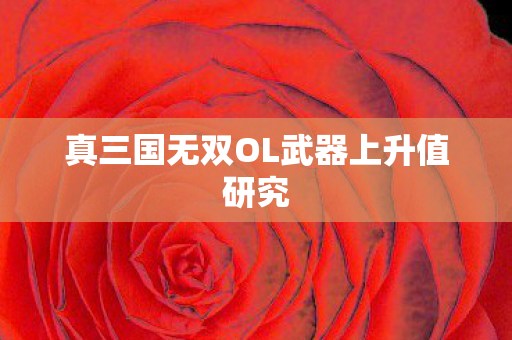 真三国无双OL武器上升值研究图片