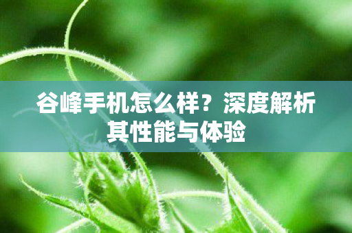 深度解析其性能与体验图片