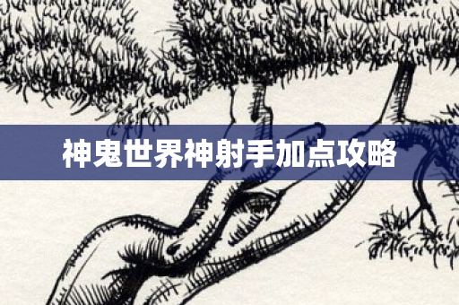 神鬼世界神射手加点攻略图片