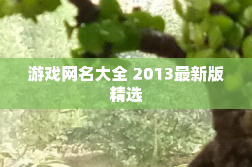 游戏网名大全 2013最新版精选图片