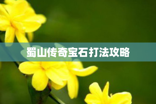 蜀山传奇宝石打法攻略图片