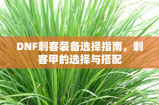 DNF刺客装备选择指南图片