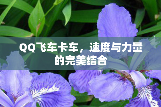 速度与力量的完美结合图片
