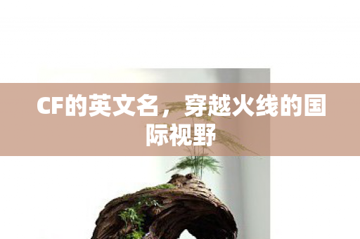 穿越火线的国际视野图片