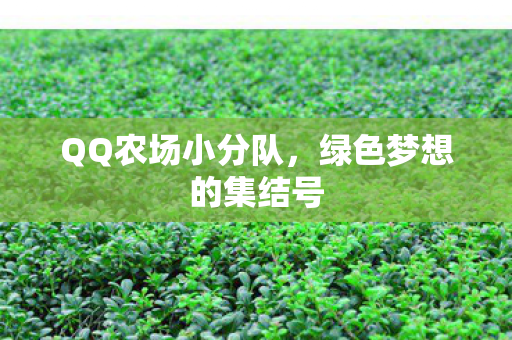 绿色梦想的集结号图片