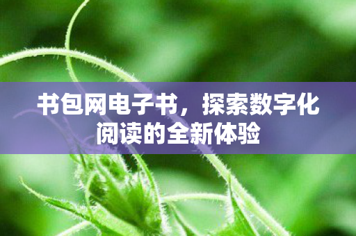探索数字化阅读的全新体验图片