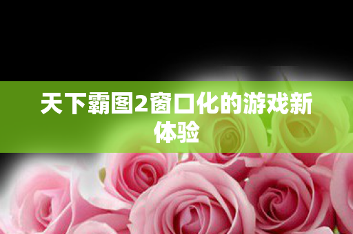 天下霸图2窗口化的游戏新体验图片