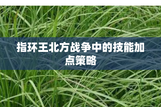 指环王北方战争中的技能加点策略图片