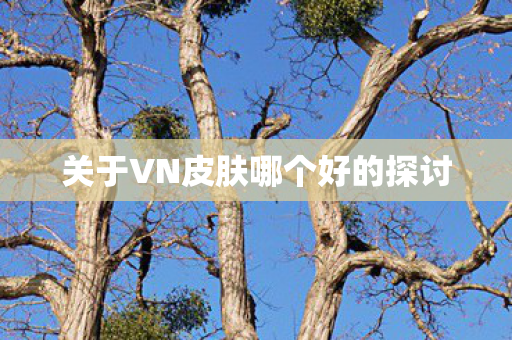 关于VN皮肤哪个好的探讨图片