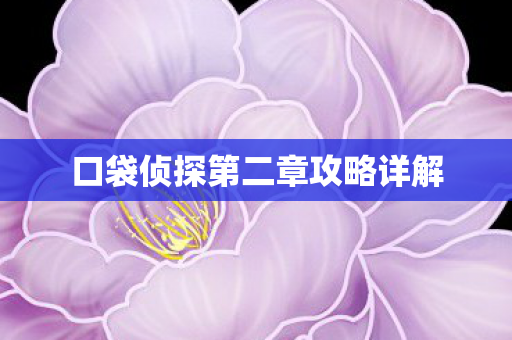 口袋侦探第二章攻略详解图片