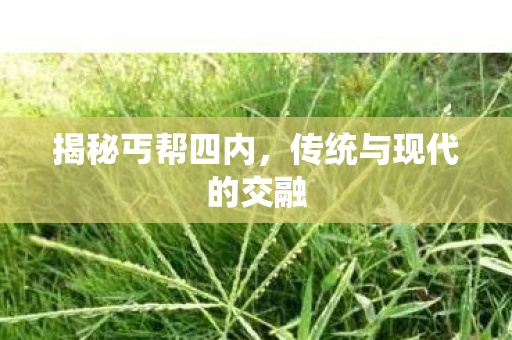 传统与现代的交融图片