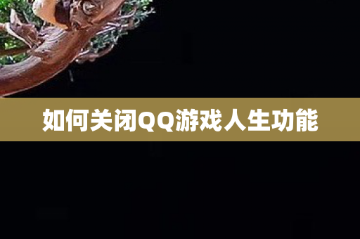 如何关闭QQ游戏人生功能图片