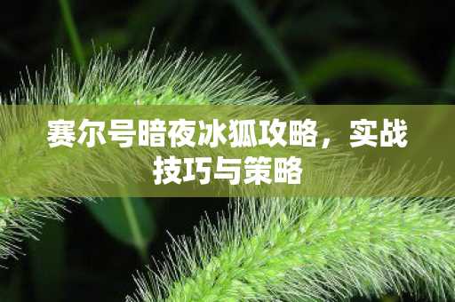 赛尔号暗夜冰狐攻略图片