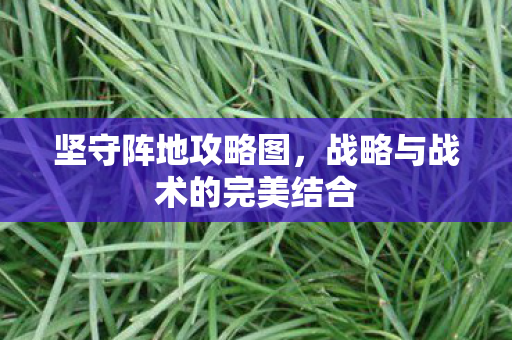 战略与战术的完美结合图片