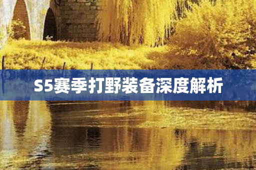 S5赛季打野装备深度解析图片