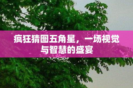 一场视觉与智慧的盛宴图片