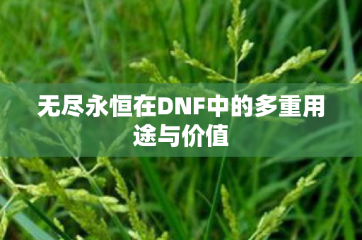 无尽永恒在DNF中的多重用途与价值图片