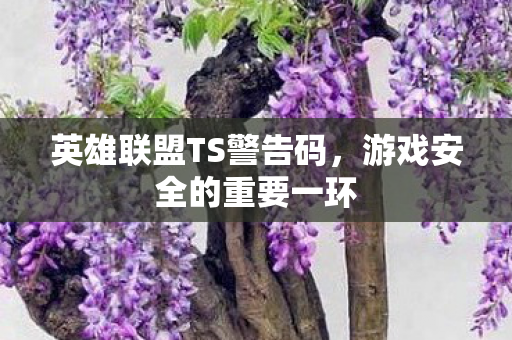 英雄联盟TS警告码图片