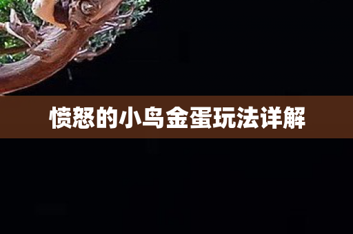 愤怒的小鸟金蛋玩法详解图片