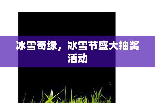 冰雪节盛大抽奖活动图片
