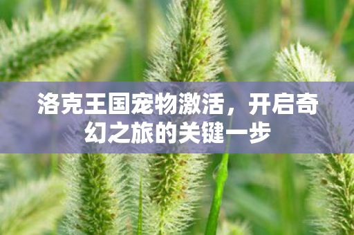 开启奇幻之旅的关键一步图片