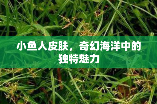 奇幻海洋中的独特魅力图片
