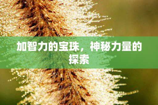神秘力量的探索图片