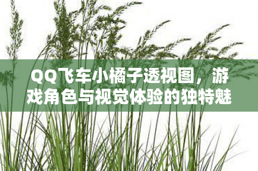 游戏角色与视觉体验的独特魅力图片