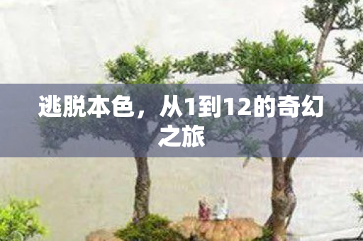 从1到12的奇幻之旅图片