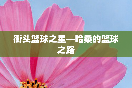 哈桑的篮球之路图片