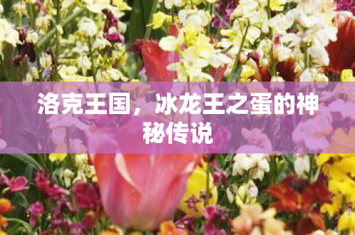 冰龙王之蛋的神秘传说图片
