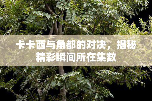 揭秘精彩瞬间所在集数图片