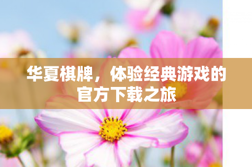 体验经典游戏的官方下载之旅图片