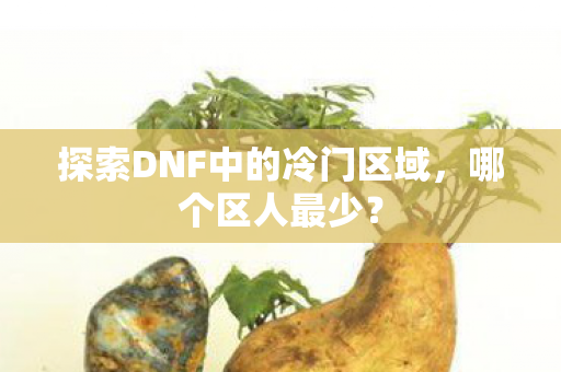 探索DNF中的冷门区域图片
