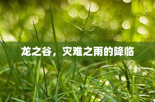 灾难之雨的降临图片