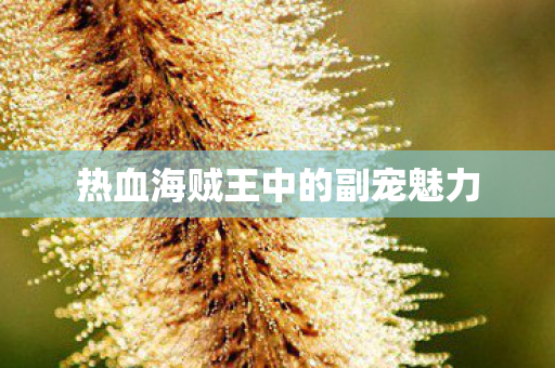 热血海贼王中的副宠魅力图片