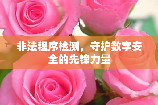 守护数字安全的先锋力量图片